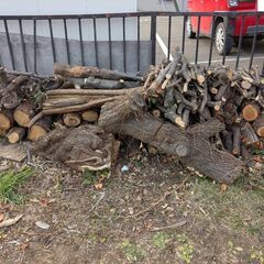 薪などに使える伐採木を譲ります（令和7年11月伐採分）の画像