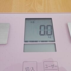 Panasonic 体重計　EW-FA13の画像