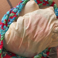 羽毛布団、薄手のタオルケットの画像