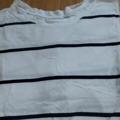 半袖ボーダーの画像