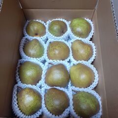 リンゴとラ・フランスどうぞ✨小さいお子さんがいるひとり親家庭限定‼️の画像