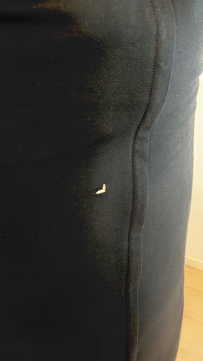 ヨギボー(一箇所小さな破れあり)