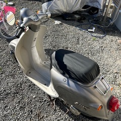 ホンダ　ジョルノ AF24 実働車 エンジン好調　原付 2スト　スクーターの画像