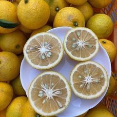 完熟黄カボスの画像