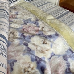 布団3点セット　Bの画像