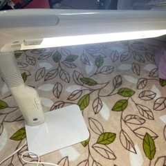 スタンドライトの画像