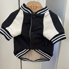 犬服　スタジャン　3号　美品の画像