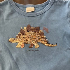 恐竜スパンコール Tシャツ サイズ100cmの画像