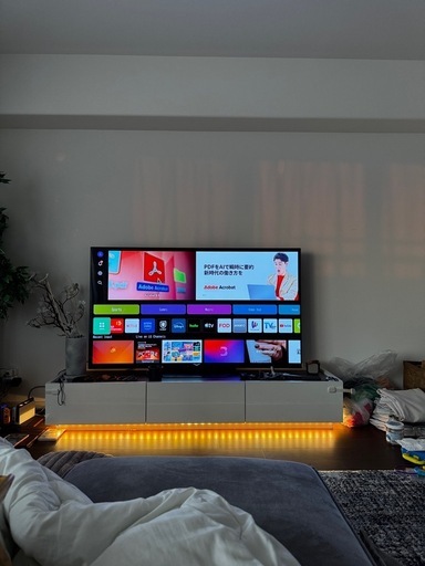 テレビ65型　LG OLEDどうぞ！