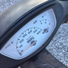 ホンダライブディオの画像