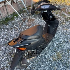 ホンダライブディオの画像