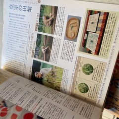 皇室の20世紀　　不揃いDVDの画像