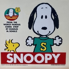 スヌーピー　バスケットの画像