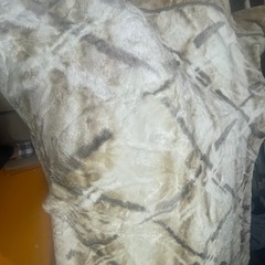 毛布無料の画像