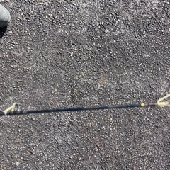 PREMIER PRS-9007Xロッドとリールリョウービ　の画像