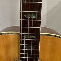 アコースティックギター　ARIA　ADW-300nの画像