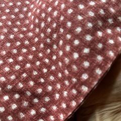  【12/7削除します】座布団カバー色違い2枚　ご希望あれば座布団も差し上げますの画像