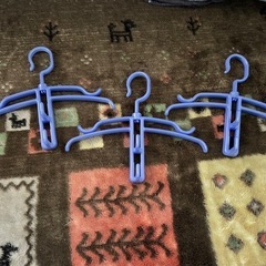 いろいろなハンガーの画像