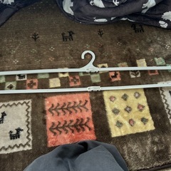 いろいろなハンガーの画像