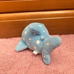 ジンベイザメの画像