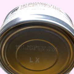 ヒルズ回復期缶の画像