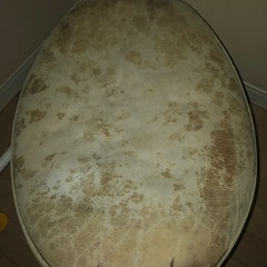 アニマル柄　チェア　回転式　【割引】デザイン家具の画像