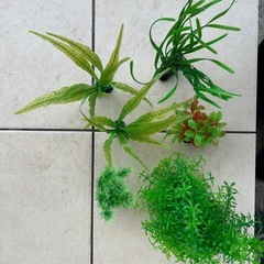 アクアリウム用人工水草セット19点（まとめ売り）の画像