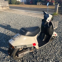 ☆ホンダ　スーパータクト　AF09型　前期型　実働中古車両の画像