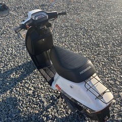 ☆ホンダ　スーパータクト　AF09型　前期型　実働中古車両の画像