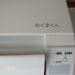 【値下げ】白くまくん2023年製の画像