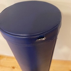 LPN ストレッチポールEX(ネイビー)の画像