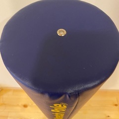 LPN ストレッチポールEX(ネイビー)の画像