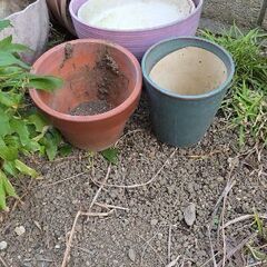 植木鉢　その他の画像