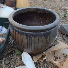 植木鉢　その他の画像