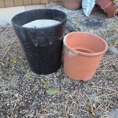 植木鉢　その他の画像
