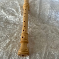 アウロス ソプラノリコーダー の画像