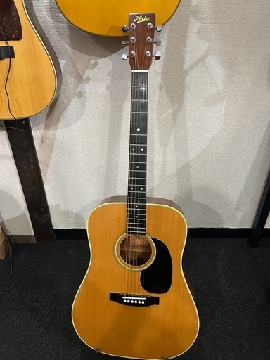 アコースティックギター　ARIA W-15