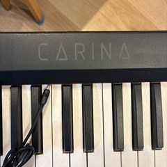 電子ピアノ 88鍵盤の画像