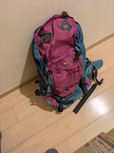 #登山用#Millet#ミレー#リュック