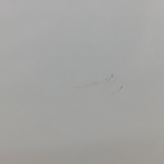 【トレファク松原店】ニトリ2ドア冷蔵庫のご紹介です！の画像