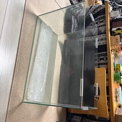 縁無し水槽60センチの画像