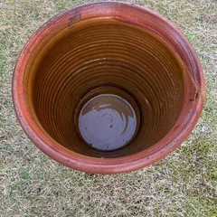 めだか鉢の画像