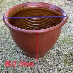 めだか鉢の画像