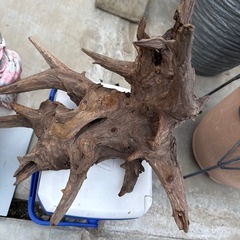 流木　　　モニタースタンド　クーラーボックスの画像