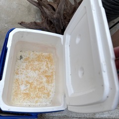 流木　　　モニタースタンド　クーラーボックスの画像