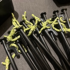 工具箱＆ペグ22本
の画像