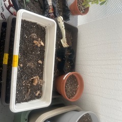 園芸用の土　の画像