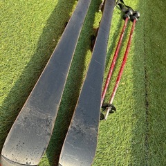 カービングスキー　レディース　メンズ
の画像