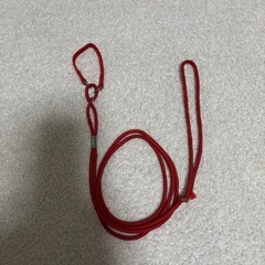 交渉中💚中古品　ペット用・ワンちゃん用　リード赤・赤白ストライプの画像