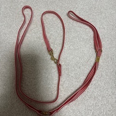 交渉中💚中古品　ペット用・ワンちゃん用　リード赤・赤白ストライプの画像